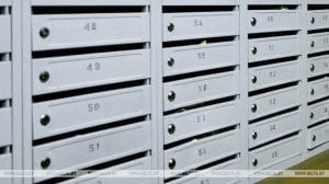 На могілках “Аўльс” трава зноў вырасла вышэй за магілы. Хто павінен сачыць за тэрыторыяй?