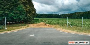 У Гродне прапануюць бясплатны шынамантаж для тых, хто возьме сабе сабаку ці котку