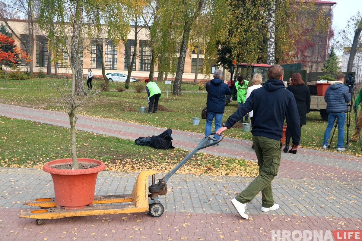 «Отдал должок Наталье Канюк». Ботанический сад в парке Жилибера пополнился новыми деревьями