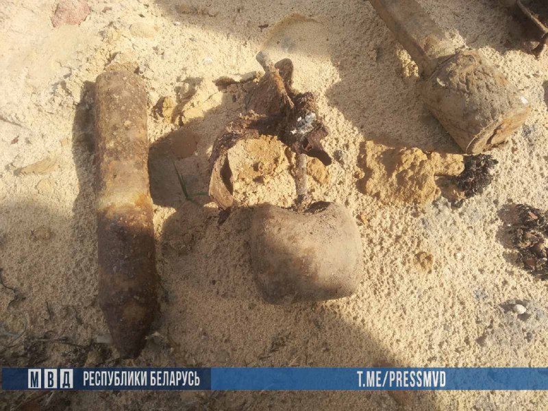 В Волковысском районе нашли целый арсенал времен войны