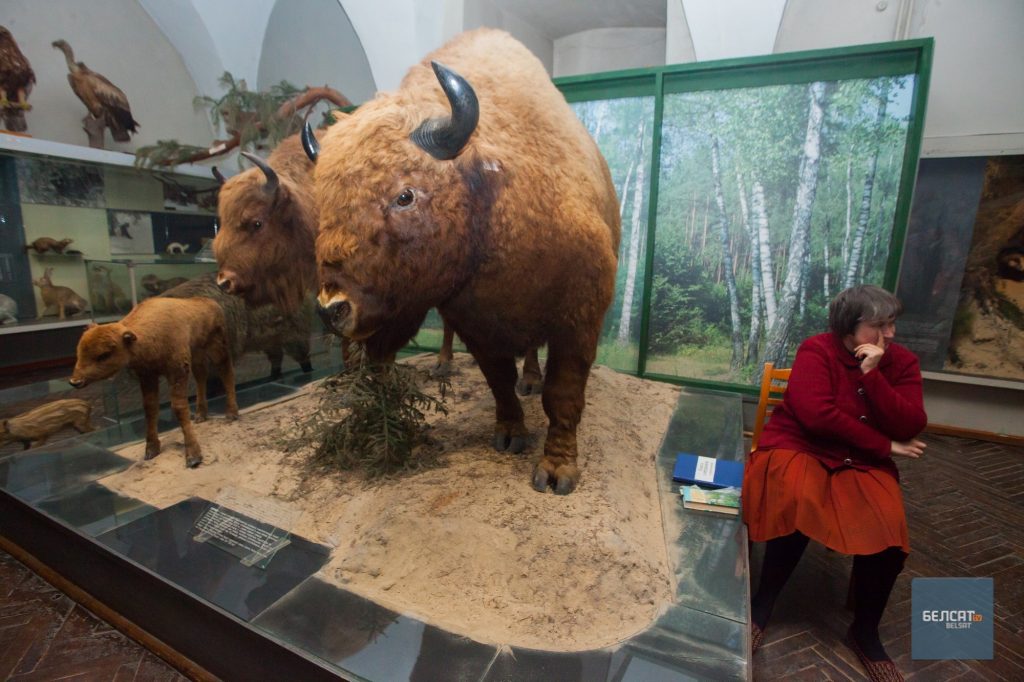 старая экспозиция музея в Старом замке