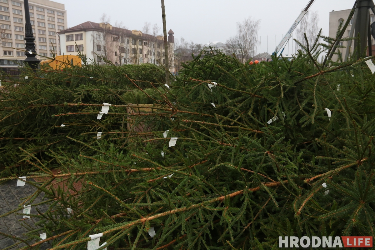Свята да нас прыходзіць: на плошчы Леніна пачалі ўсталёўваць галоўную ёлку горада