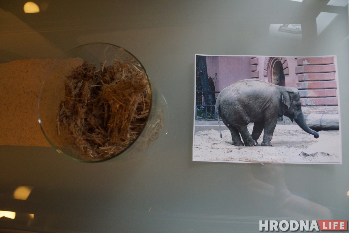 У гасцях, як дома. Пасябруй з красналюдкамі Уроцлава і знайдзі прывідаў у замках Ніжняй Сілезіі У гасцях, як дома. Пасябруй з красналюдкамі Уроцлава і знайдзі прывідаў у замках Ніжняй Сілезіі