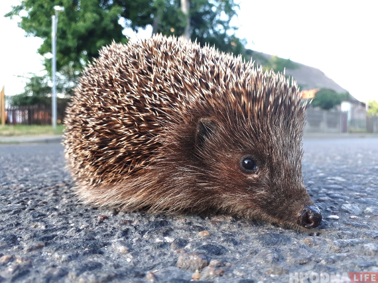 В Гродно стартовал очередной курс Школы Современной Журналистики