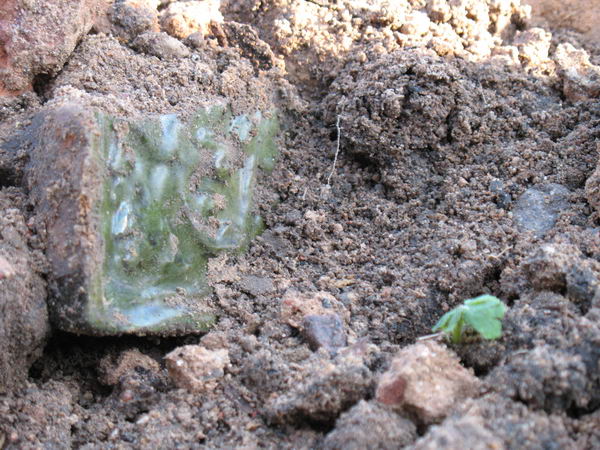 Закон о зоне: поможет ли новый документ спасти Гродно от разрушения