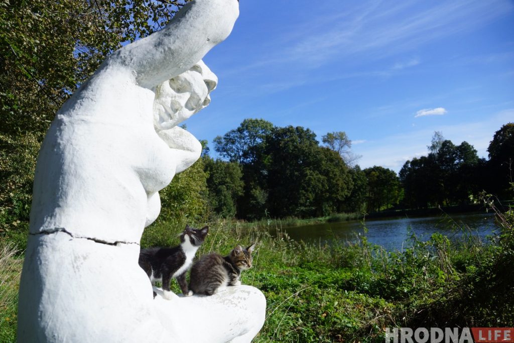 Ликвидировали фонд, который пытался спасти старинную усадьбу в Щорсах под Новогрудком