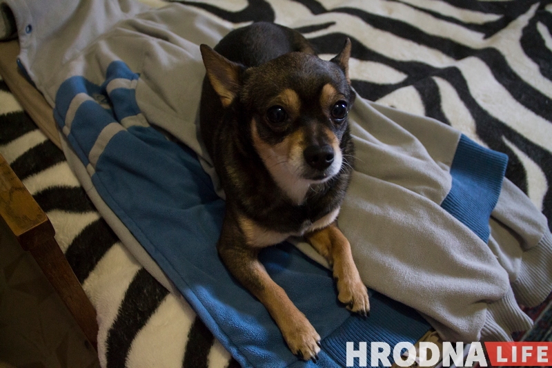 "Я нашла дело жизни". Лариса Жигарь про "Маці 328", выход сына из тюрьмы, голодовки и выборы