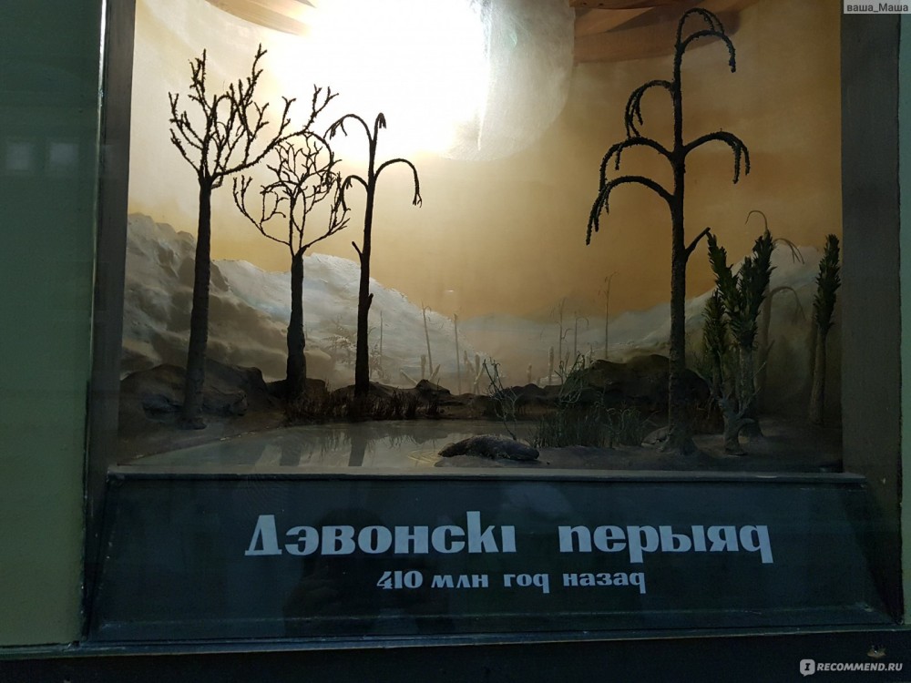 Буракі, партызаны, пудзілы жывёл. Чаму новы стары музей у "тэкстылях" - ідэя так сабе Буракі, партызаны, пудзілы жывёл. Чаму новы стары музей у "тэкстылях" - ідэя так сабе