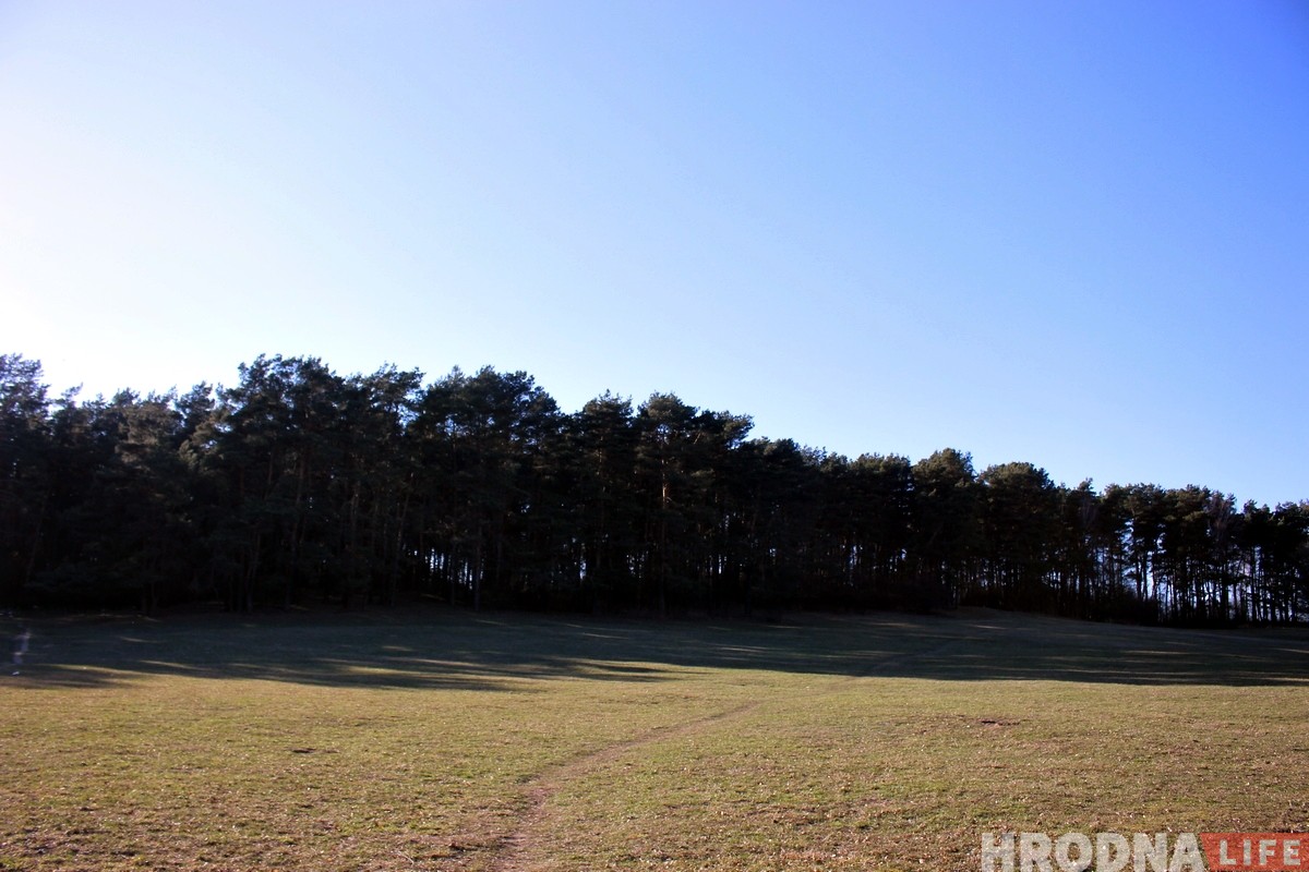 Cляды расстрэлаў у Пышках шукалі яшчэ ў 1992 годзе: былі нават раскопкі