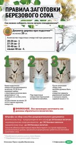 березовый сок