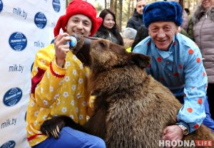 Беларус выратаваў бусляня і выклікаў хвалю спрэчак. Ці можна вяртаць птушанят у гняздо? Жывы мядзведзь на Масленіцы Живой медведь на Масленице