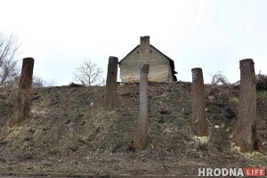 Участак з відам на замкі: навошта на Леванабярэжнай спілавалі старыя таполі?