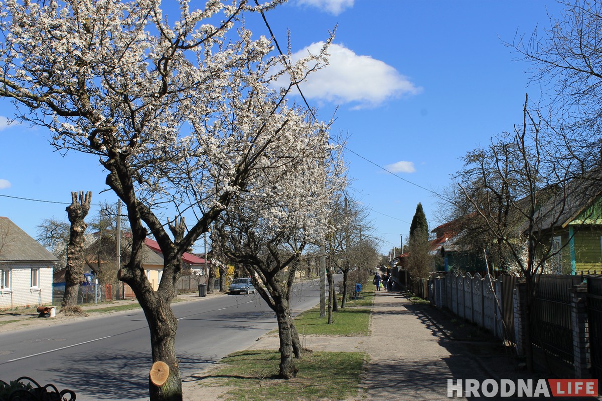 Топ-7 космических улиц Гродно: куда пойти погулять в День космонавтики