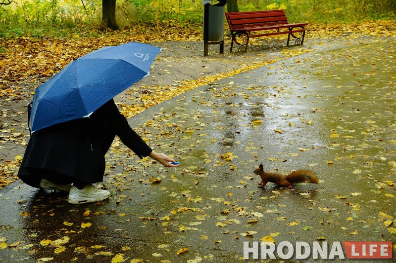 Навошта вавёркам плот, а вазочнікам – пандусы. Камунальнікі то чуюць Юлю Каляду, то не чуюць, а яна ўсё роўна піша