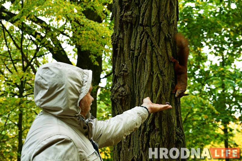 Навошта вавёркам плот, а вазочнікам – пандусы. Камунальнікі то чуюць Юлю Каляду, то не чуюць, а яна ўсё роўна піша