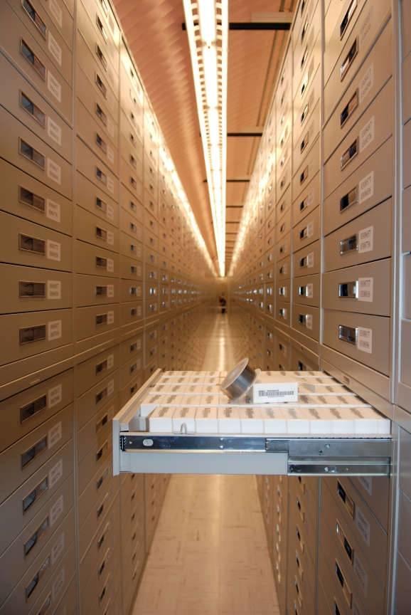 Загадка аднога помніка: як звязаныя гродзенскія могілкі і “На ростанях” Коласа