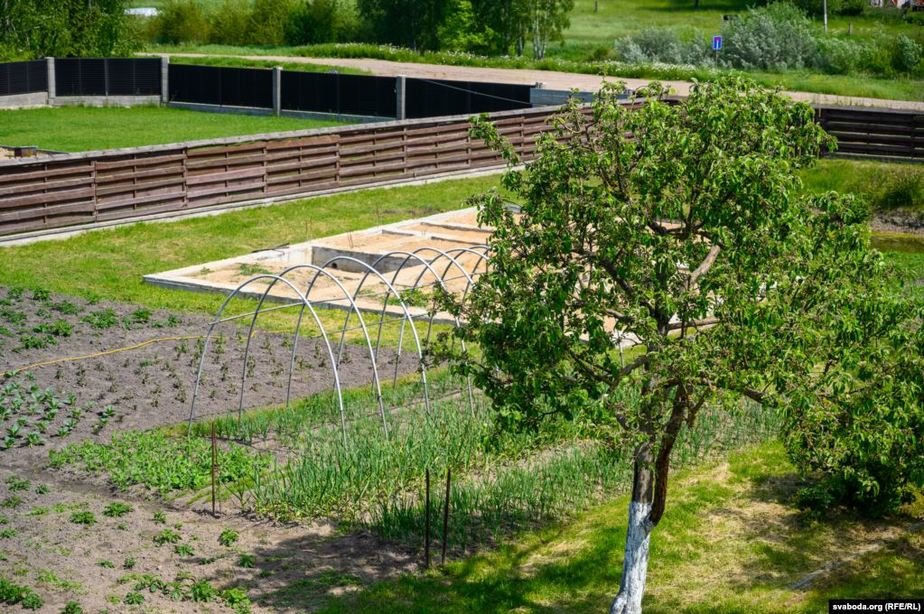 Пенсионерка из Гродно ответила Лукашенко и БТ