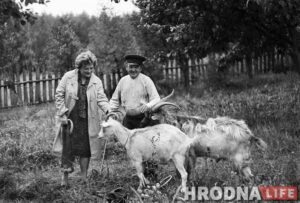 Наталия Дорош женский роман времен пандемии