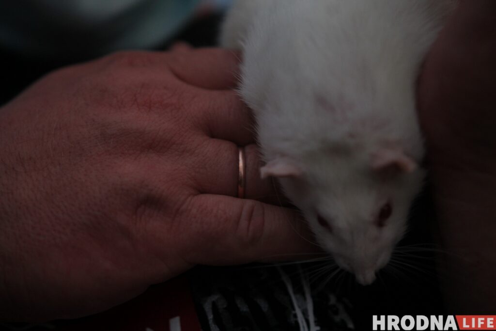 У Гродне адбылася акцыя салідарнасці з затрыманымі