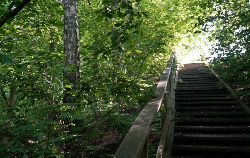 Палац графіні Красінскай, мясціны Ажэшкі і... жалезны чалавек. Што пабачыць за дзень у ваколіцах Гродна