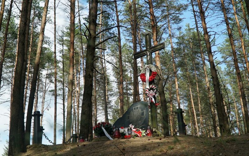Палац графіні Красінскай, мясціны Ажэшкі і... жалезны чалавек. Што пабачыць за дзень у ваколіцах Гродна