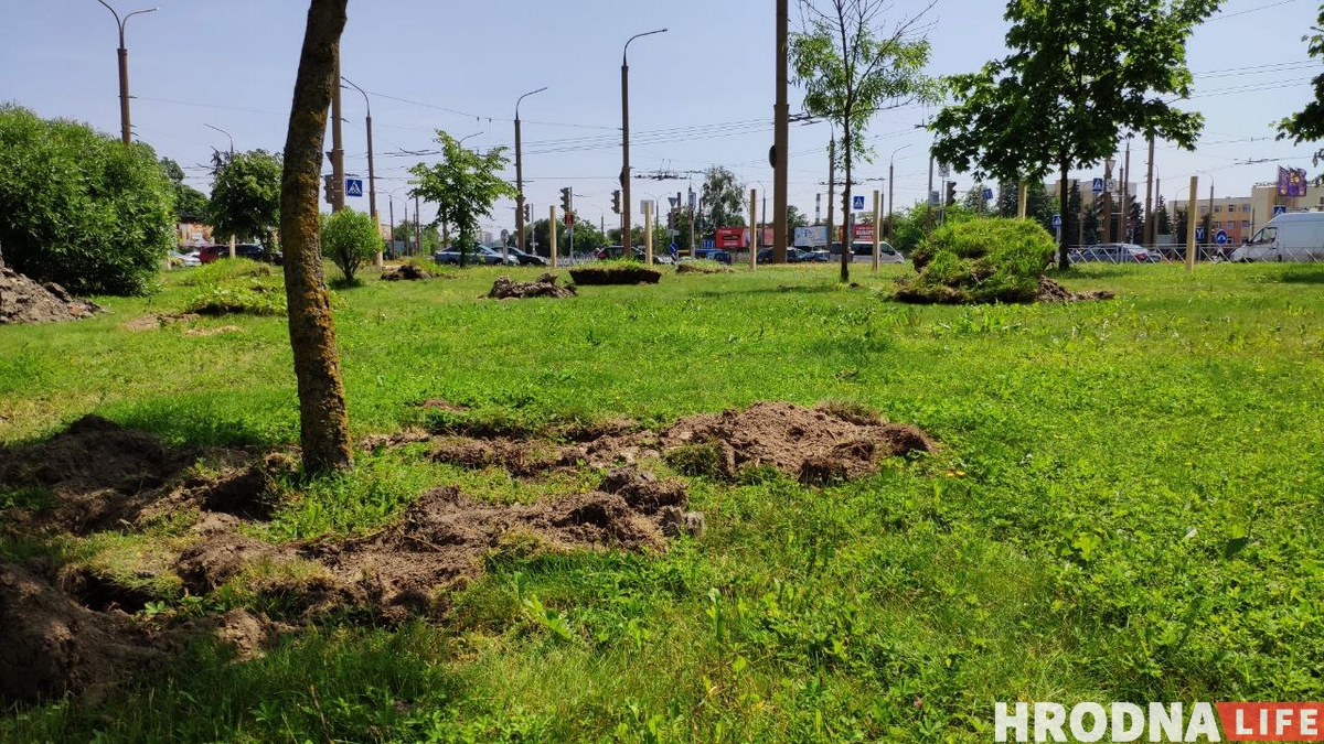 У Гродне з'явіцца Mcdonald's. Ужо рыхтуюць будоўлю