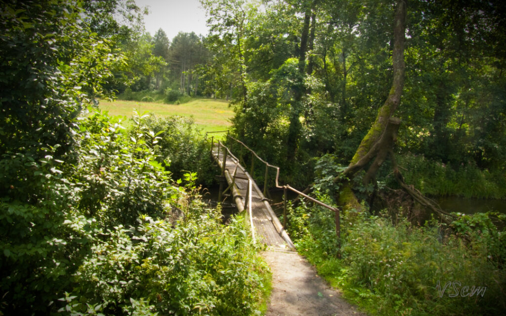 У Гродне абмяркуюць жылую забудову ў раёне Ласасянкі