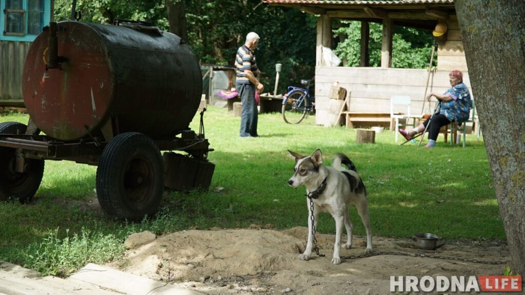 Палац у лясных джунглях,  пешы мост і найвышэйшы млын Беларусі: падарожжа на 12 цікавостак за 1 дзень