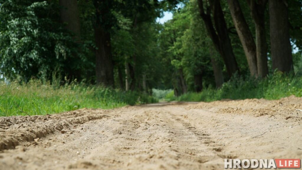 Палац у лясных джунглях,  пешы мост і найвышэйшы млын Беларусі: падарожжа на 12 цікавостак за 1 дзень