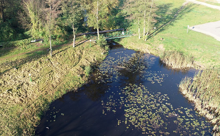 Каля Бераставіцы загінула рыба праз выкід хімічных рэчываў. Распачалі крымінальную справу Каля Бераставіцы загінула рыба праз выкід хімічных рэчываў. Распачалі крымінальную справу