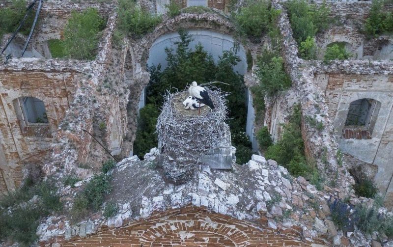 Бераставіца – амаль Кракаў, а Рэпля прыгажэй за Маскву. Што пабачыць за дзень у ваколіцах Гродна