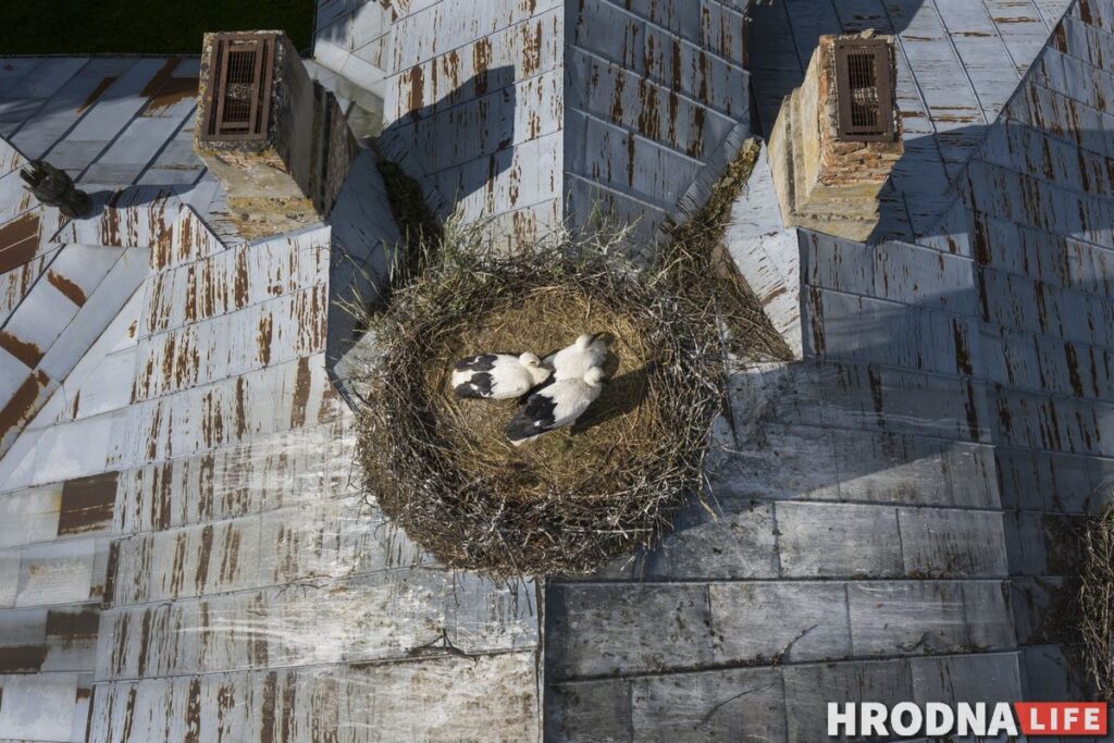 Каліноўскі, скарб Талочкаў і сядзіба, дзе гасцяваў Напалеон. 10 месцаў паміж  Свіслаччу і Зэльвай – за 1 дзень