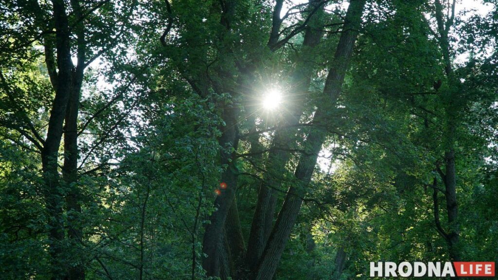 Каліноўскі, скарб Талочкаў і сядзіба, дзе гасцяваў Напалеон. 10 месцаў паміж  Свіслаччу і Зэльвай – за 1 дзень