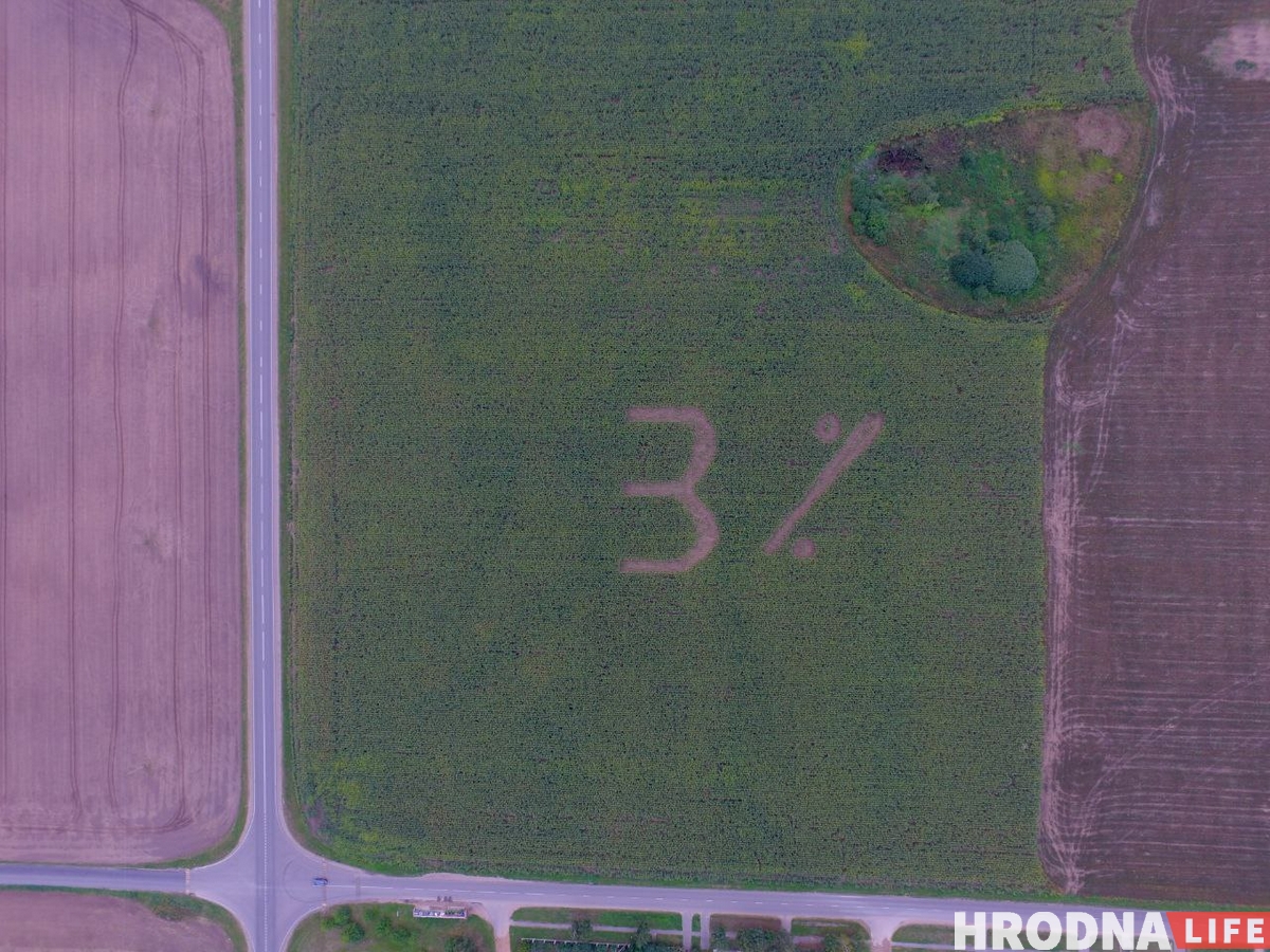 Поле пад Шчучынам з надпісам 3% прыбралі