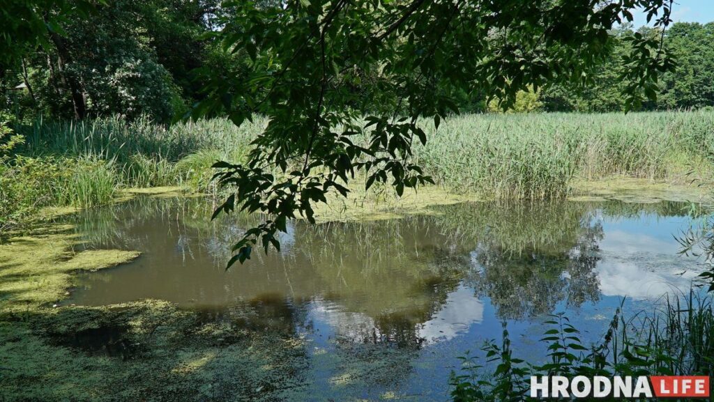 Каліноўскі, скарб Талочкаў і сядзіба, дзе гасцяваў Напалеон. 10 месцаў паміж  Свіслаччу і Зэльвай – за 1 дзень