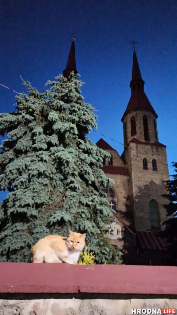 Каліноўскі, скарб Талочкаў і сядзіба, дзе гасцяваў Напалеон. 10 месцаў паміж  Свіслаччу і Зэльвай – за 1 дзень