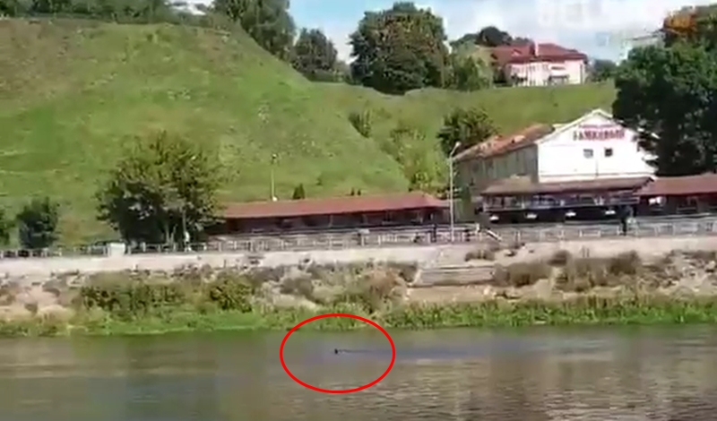 Яшчэ адзін гродзенец пераплыў Нёман, каб выратавацца ад міліцыі. Але яго затрымалі Яшчэ адзін гродзенец пераплыў Нёман, каб выратавацца ад міліцыі. Але яго затрымалі