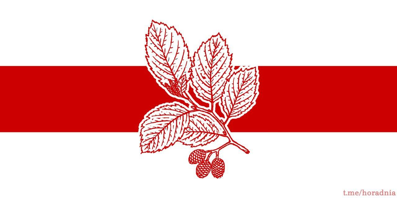 «Это не просто какие-то знаки». Гродненец сделал флаги разных районов города