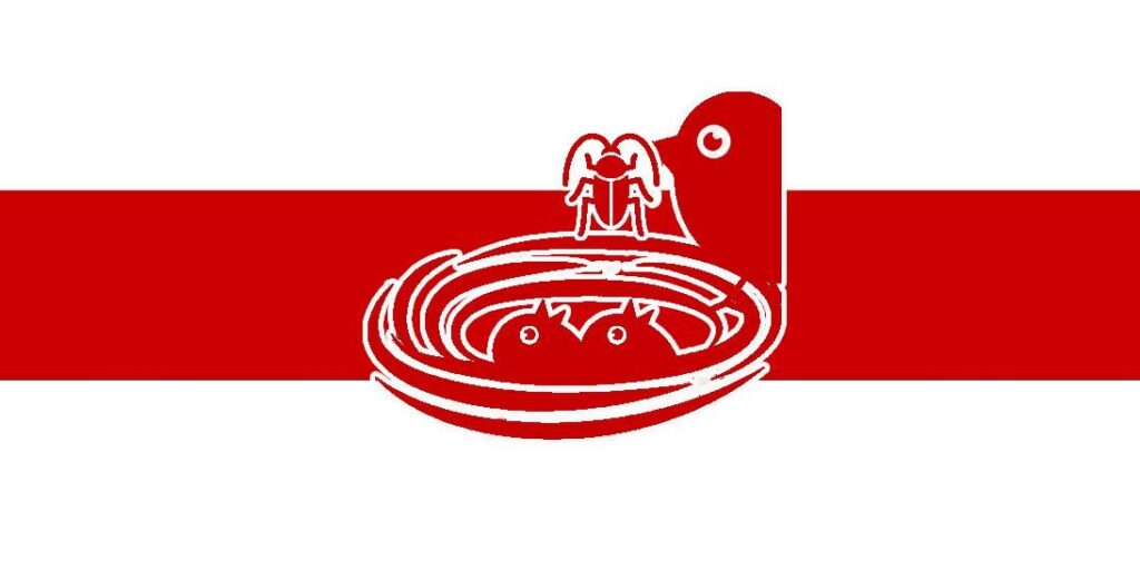 «Это не просто какие-то знаки». Гродненец сделал флаги разных районов города