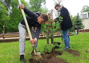 Рачны флот у Гродне пераходзіць на зімовыя стаянкі - судны спыняюць рух Журналісты Hrodna.life высаджваюць дрэвы ў парку Жылібера, 5.06.2020. Фота: Ірына Новік