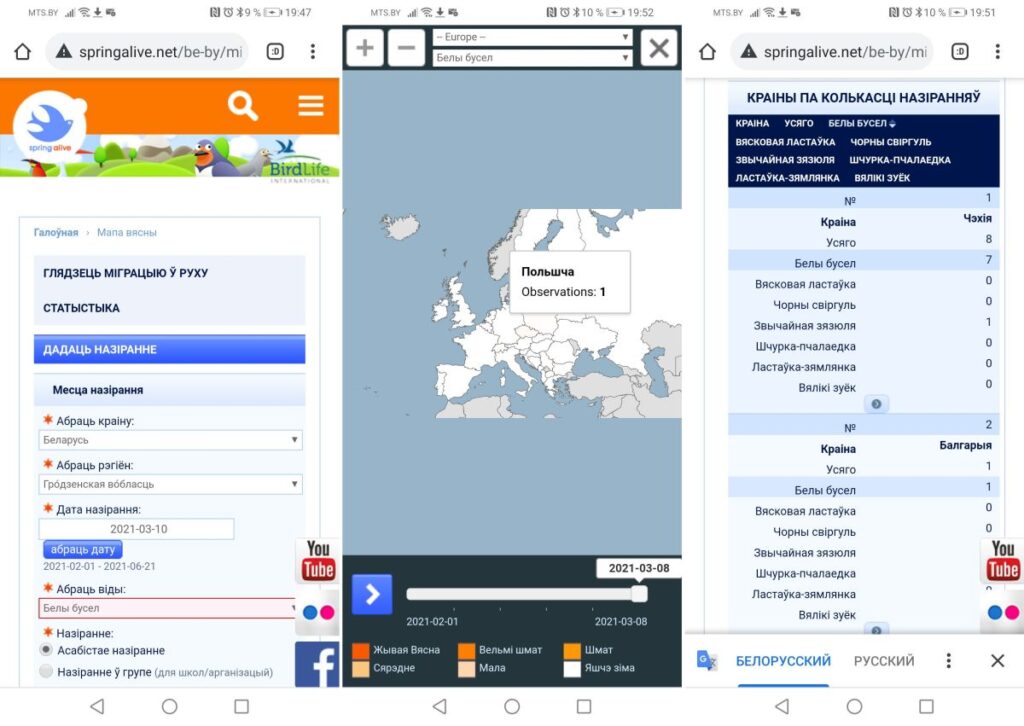 У Гродна вяртаюцца пералётныя птушкі. Назіраць за іх шляхам з выраю можна анлайн