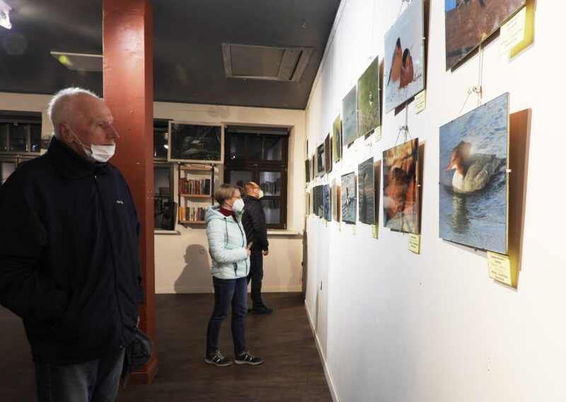 Бердвочер Дмитрий Винчевский: "О птицах есть много мифов с советских времен”