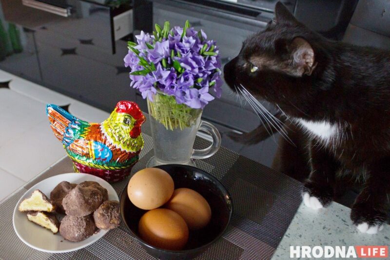 Вялікдзень прамінуў, яйкі засталіся: 3 рэцэпты страў, у якіх вараныя яйкі - галоўны прадукт Вялікдзень прамінуў, яйкі засталіся: 3 рэцэпты страў, у якіх вараныя яйкі - галоўны прадукт