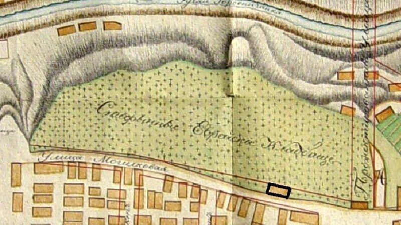 Сквер-скансен или многоуровневый паркинг? Что может появиться вместо парковки на Троицкой