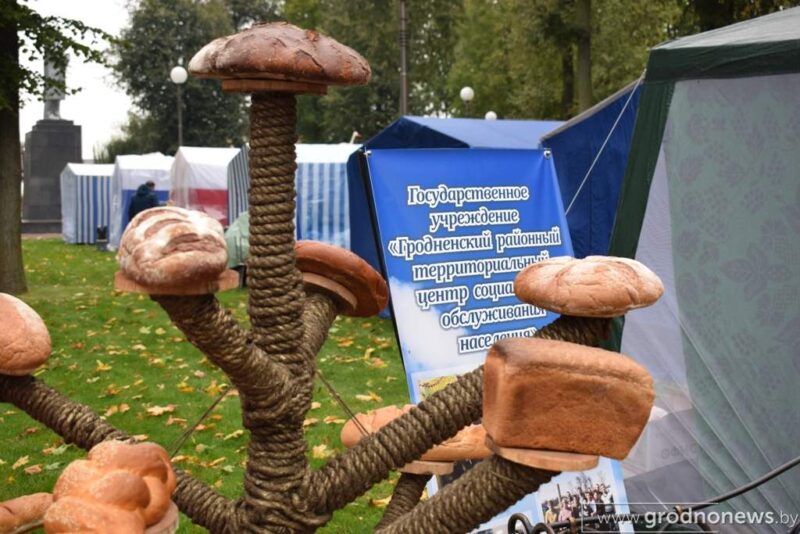 Рыбалка ў фантане, капусны боўлінг і “Цукровыя гульні”: цікавыя моманты з Дажынак у Скідзелі