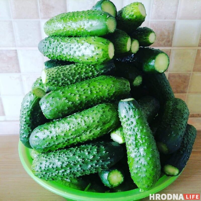 Байки с дачи и рецепты заготовок от Николая Таранды