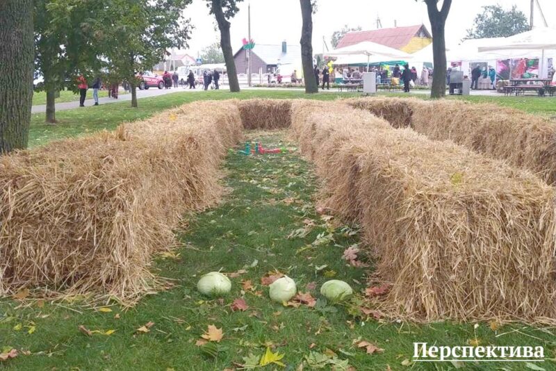 Рыбалка ў фантане, капусны боўлінг і “Цукровыя гульні”: цікавыя моманты з Дажынак у Скідзелі