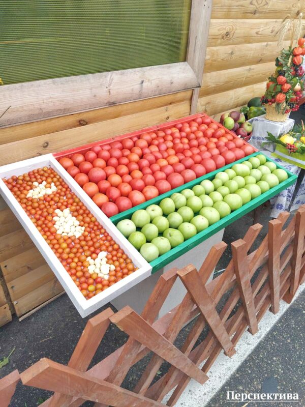 Рыбалка ў фантане, капусны боўлінг і “Цукровыя гульні”: цікавыя моманты з Дажынак у Скідзелі