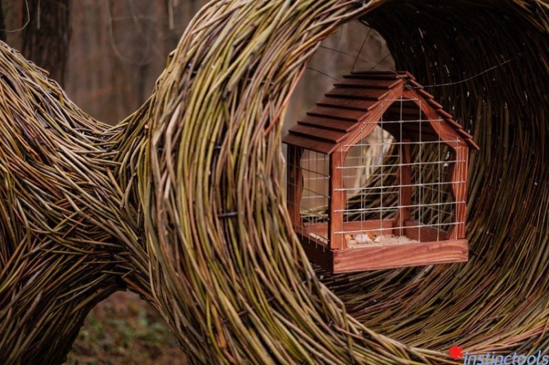 Реальная помощь, самообман или просто украшение? В лесопарке Пышки открыл “кафе” для птиц