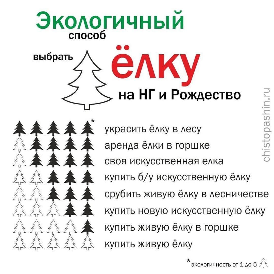 Не продают, а только показывают. На Советской в Гродно работает необычный елочный базар